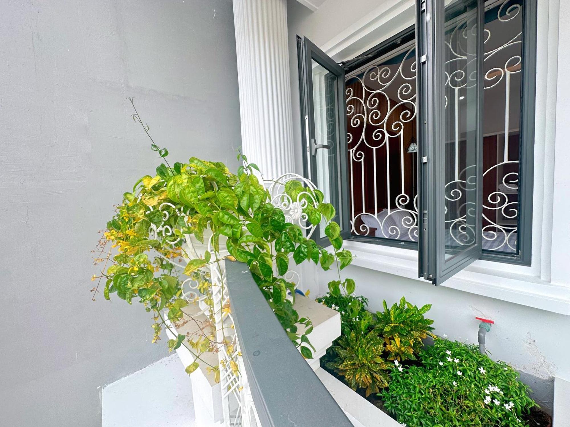 Milan Homestay - Milanesa Hotel And Apartment หวุงเต่า ภายนอก รูปภาพ